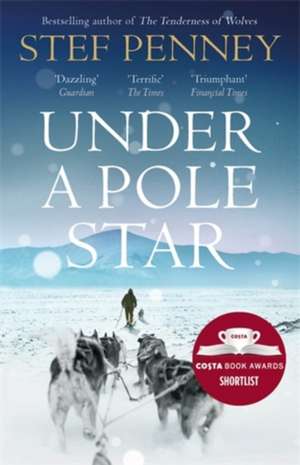 Under a Pole Star de Stef Penney