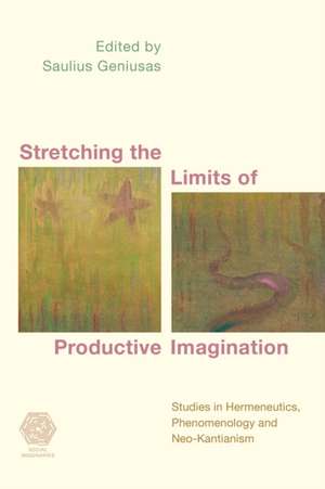 Stretching the Limits of Productive Imagination