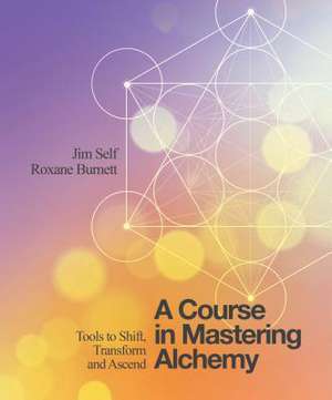 A Course in Mastering Alchemy de Jim Self