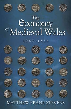 The Economy of Medieval Wales, 1067-1536 de Matthew Frank Stevens