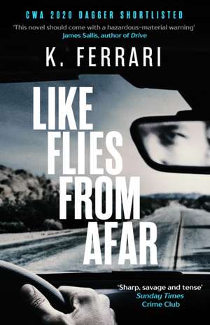 Like Flies from Afar de K. Ferrari