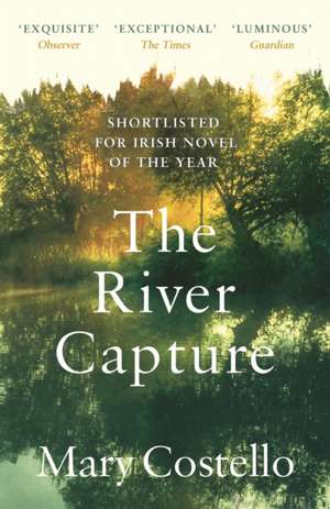 The River Capture de Mary Costello