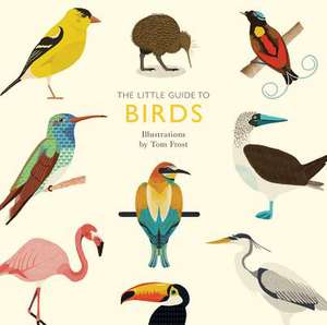 The Little Guide to Birds de Alison Davies