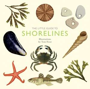 The Little Guide to Shorelines de Alison Davies