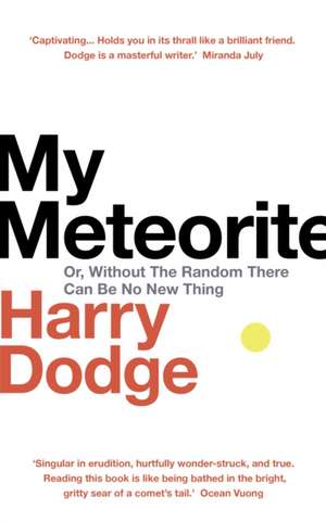 My Meteorite de Harry Dodge