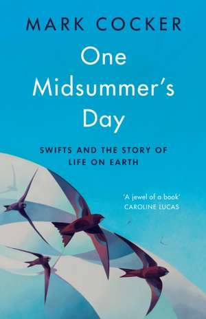 One Midsummer's Day de Mark Cocker