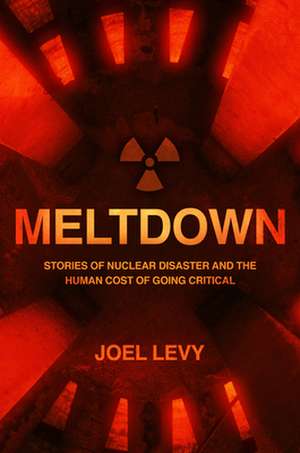 Meltdown de Joel Levy