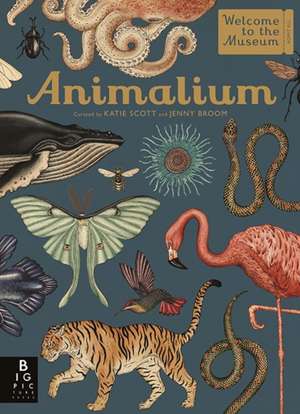 Animalium de Jenny Broom