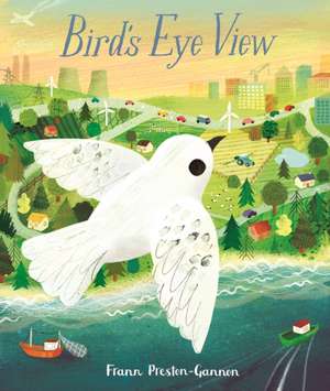 Bird's Eye View de Frann Preston-Gannon