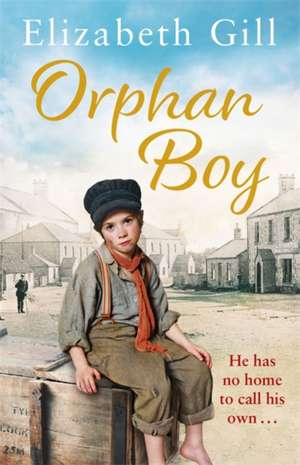 Orphan Boy de Elizabeth Gill