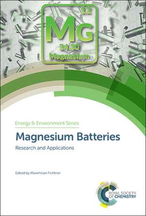 Magnesium Batteries de Maximilian Fichtner