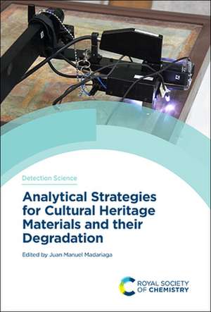 Analytical Strategies for Cultural Heritage Materials and Their Degradation de Juan Manuel Madariaga