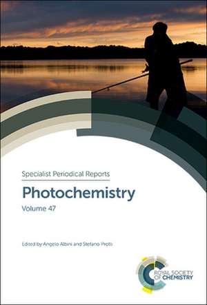 Photochemistry de Angelo Albini