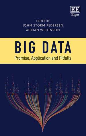 Big Data – Promise, Application and Pitfalls de John S. Pedersen