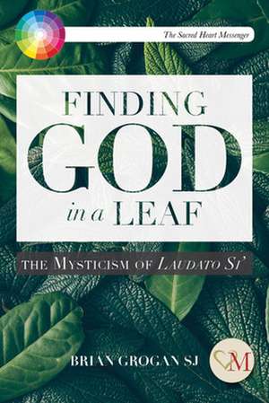 Finding God in a Leaf de Brian Grogan