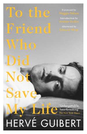 To the Friend Who Did Not Save My Life de Hervé Guibert