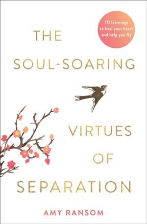 The Soul-Soaring Virtues of Separation de Amy Ransom