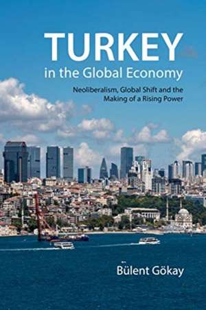 Turkey in the Global Economy de Bulent (Keele University) Goekay