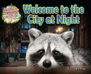 Welcome to the City at Night de Ruth Owen