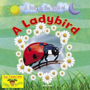 A Ladybird de Ruth Owen