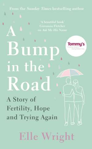 A Bump in the Road de Elle Wright