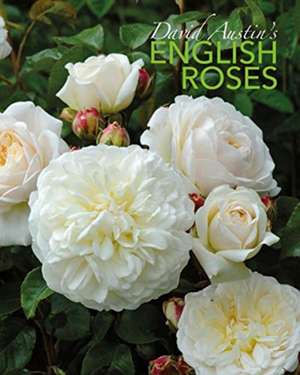 David Austin's English Roses de David Austin