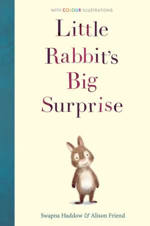 Haddow, S: Little Rabbit's Big Surprise