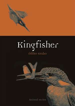 Kingfisher de Ildiko Szabo