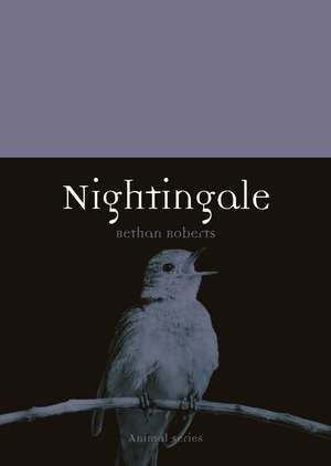 Nightingale de Bethan Roberts