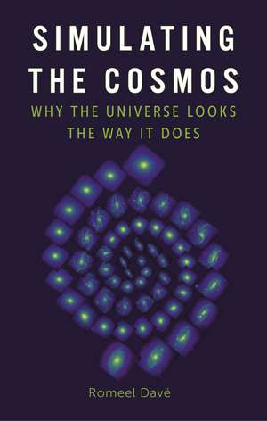 Simulating the Cosmos: Why the Universe Looks the Way It Does de Romeel Davé