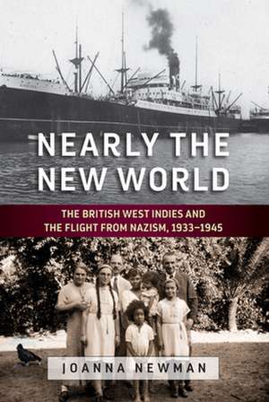 Nearly the New World de Joanna Newman