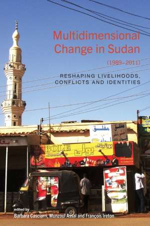 Multidimensional Change in Sudan (1989-2011) de Munzoul A. M. Assal