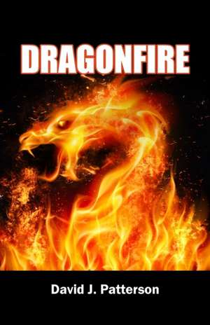 Dragonfire de David J. Patterson