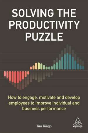 Solving the Productivity Puzzle de Tim Ringo