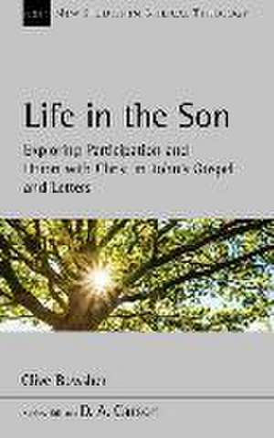 Life in the Son – Exploring participation and union with Christ in John′s Gospel and letters de Clive Bowsher