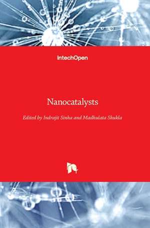 Nanocatalysts de Indrajit Sinha