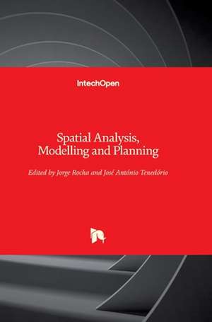 Spatial Analysis, Modelling and Planning de Jorge Rocha