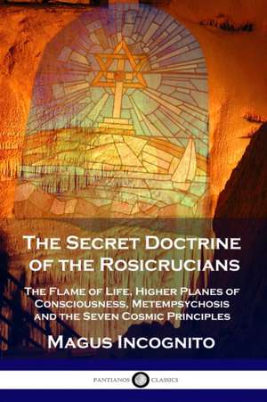 The Secret Doctrine of the Rosicrucians de Magus Incognito