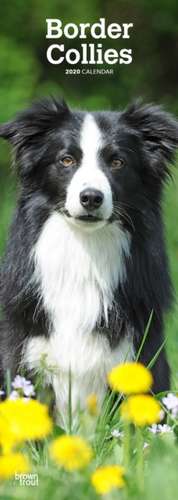 BORDER COLLIES 2020 SLIM CALENDAR de BROWNTROUT UK