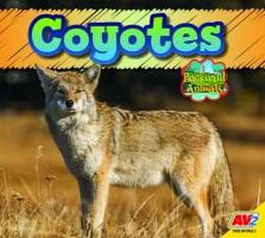 Coyotes de Jordan McGill