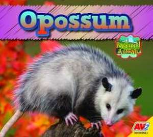 Opossum de Jordan McGill