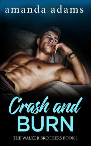 Crash and Burn de Amanda Adams