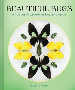 Beautiful Bugs de Bug In The Box