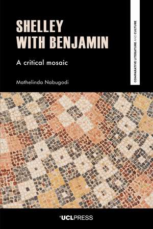 Shelley with Benjamin: A Critical Mosaic de Mathelinda Nabugodi