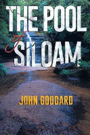 The Pool of Siloam de John Goddard