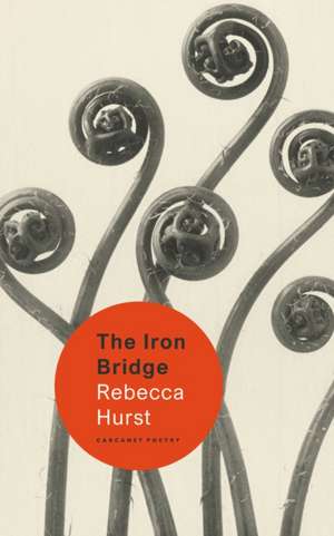 The Iron Bridge de Rebecca Hurst