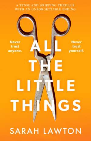 All The Little Things de Sarah Lawton