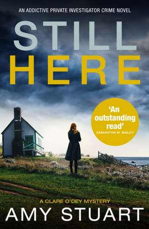 Still Here de Amy Stuart