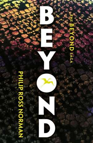 Beyond de Philip Ross Norman