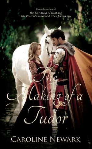 The Making of a Tudor de Caroline Newark